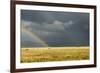 Sun Shining on Grassland under Storym and Rain-BackyardProductions-Framed Photographic Print