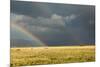 Sun Shining on Grassland under Storym and Rain-BackyardProductions-Mounted Photographic Print