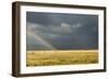 Sun Shining on Grassland under Storym and Rain-BackyardProductions-Framed Photographic Print