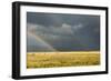 Sun Shining on Grassland under Storym and Rain-BackyardProductions-Framed Photographic Print