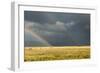 Sun Shining on Grassland under Storym and Rain-BackyardProductions-Framed Photographic Print