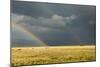 Sun Shining on Grassland under Storym and Rain-BackyardProductions-Mounted Photographic Print