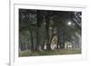 Sun Shining Through Trees in Common Alder (Alnus Glutinosa) Forest, Denmark, September-Möllers-Framed Photographic Print