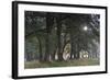 Sun Shining Through Trees in Common Alder (Alnus Glutinosa) Forest, Denmark, September-Möllers-Framed Photographic Print