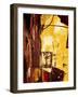 Sun Shower-Ruth Palmer-Framed Art Print