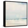 Sun Speckled Beach-Susannah Tucker-Framed Stretched Canvas