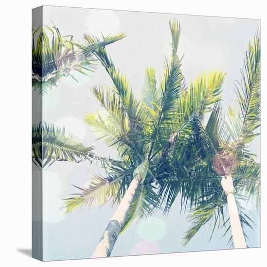 Sun Speckled Palm Trees-Susannah Tucker-Stretched Canvas