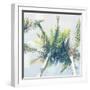 Sun Speckled Palm Trees-Susannah Tucker-Framed Art Print