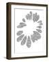 Sun Stone-Maja Gunnarsdottir-Framed Giclee Print