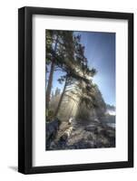 Sun streaming through trees, Juan De Fuca Trail, near Jordan River, Vancouver Island, British Colum-Stuart Westmorland-Framed Photographic Print