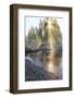 Sun streaming through trees, Juan De Fuca Trail, near Jordan River, Vancouver Island, British Colum-Stuart Westmorland-Framed Photographic Print