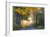 Sun Streaming Through-Orah Moore-Framed Giclee Print