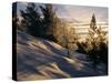 Sun Through Trees, Rondablikk, Norway, Scandinavia-David Poole-Stretched Canvas