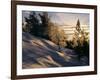 Sun Through Trees, Rondablikk, Norway, Scandinavia-David Poole-Framed Photographic Print