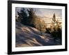 Sun Through Trees, Rondablikk, Norway, Scandinavia-David Poole-Framed Photographic Print