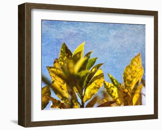 Sun Toward I-Emily Robinson-Framed Photographic Print