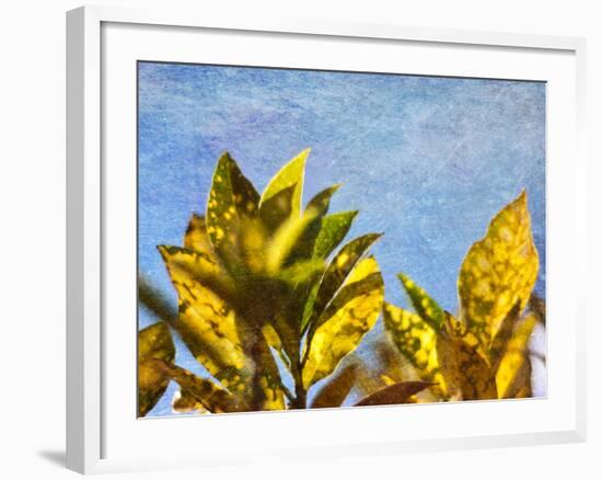 Sun Toward I-Emily Robinson-Framed Photographic Print