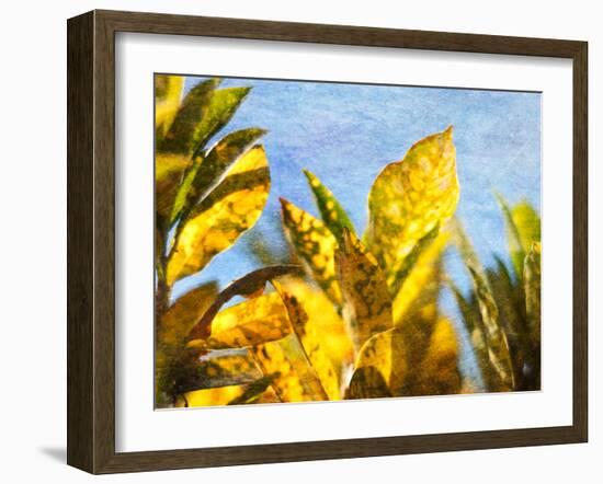 Sun Toward II-Emily Robinson-Framed Photographic Print