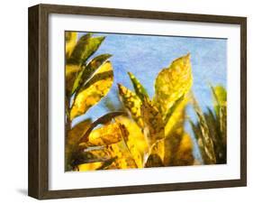 Sun Toward II-Emily Robinson-Framed Photographic Print