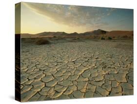 Sunbaked Mud Pan, Cracked Earth, Near Sossusvlei, Namib Naukluft Park, Namibia, Africa-Lee Frost-Stretched Canvas