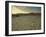 Sunbaked Mud Pan, Cracked Earth, Near Sossusvlei, Namib Naukluft Park, Namibia, Africa-Lee Frost-Framed Photographic Print