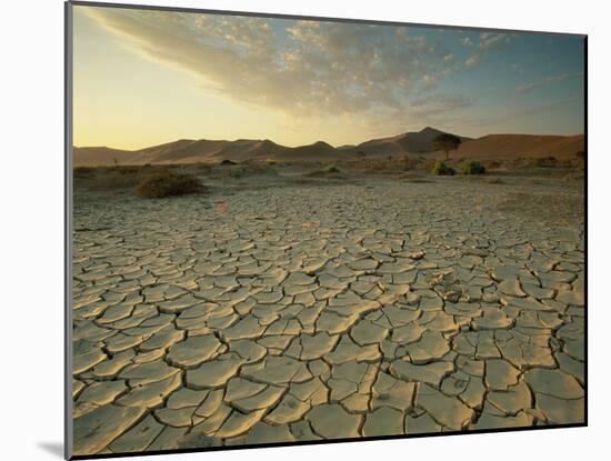 Sunbaked Mud Pan, Cracked Earth, Near Sossusvlei, Namib Naukluft Park, Namibia, Africa-Lee Frost-Mounted Photographic Print