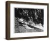 Sunbathing by the Dart-null-Framed Photographic Print