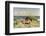 Sunbathing on the Dunes-Paul Fischer-Framed Giclee Print