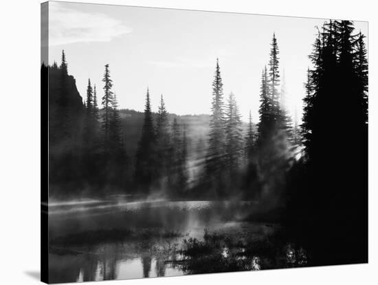 Sunbeam and Trees Reflecting in Lake, Mount Rainier National Park, Washington, USA-Adam Jones-Stretched Canvas