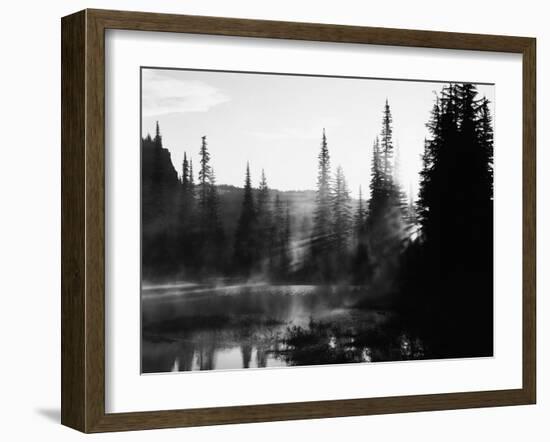 Sunbeam and Trees Reflecting in Lake, Mount Rainier National Park, Washington, USA-Adam Jones-Framed Premium Photographic Print