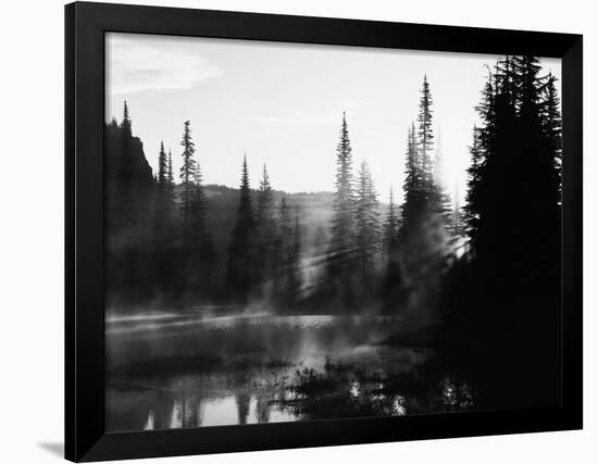 Sunbeam and Trees Reflecting in Lake, Mount Rainier National Park, Washington, USA-Adam Jones-Framed Photographic Print