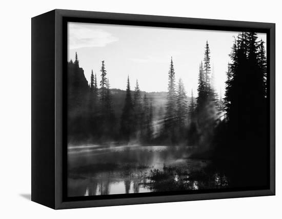 Sunbeam and Trees Reflecting in Lake, Mount Rainier National Park, Washington, USA-Adam Jones-Framed Stretched Canvas