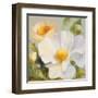 Sunbeam Flowers II-Lanie Loreth-Framed Art Print