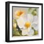 Sunbeam Flowers II-Lanie Loreth-Framed Art Print