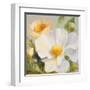 Sunbeam Flowers II-Lanie Loreth-Framed Art Print