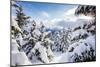 Sunbeam in the Snowy Woods Framed by the Winter Sunset, Bettmeralp, District of Raron-Roberto Moiola-Mounted Photographic Print