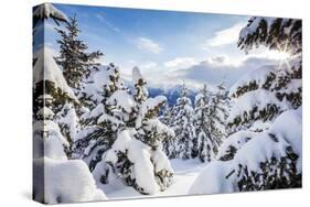 Sunbeam in the Snowy Woods Framed by the Winter Sunset, Bettmeralp, District of Raron-Roberto Moiola-Stretched Canvas