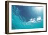 Sunbeam Undersea-null-Framed Premium Photographic Print