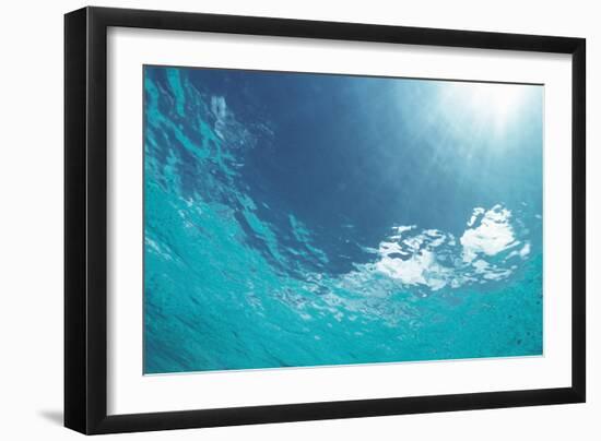 Sunbeam Undersea-null-Framed Premium Photographic Print