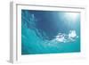 Sunbeam Undersea-null-Framed Premium Photographic Print