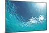 Sunbeam Undersea-null-Mounted Premium Photographic Print