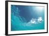 Sunbeam Undersea-null-Framed Photographic Print