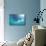 Sunbeam Undersea-null-Mounted Photographic Print displayed on a wall