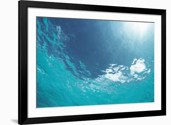 Sunbeam Undersea-null-Framed Photographic Print