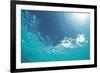 Sunbeam Undersea-null-Framed Photographic Print