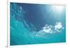 Sunbeam Undersea-null-Framed Photographic Print