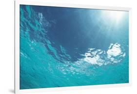 Sunbeam Undersea-null-Framed Photographic Print