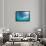 Sunbeam Undersea-null-Framed Photographic Print displayed on a wall