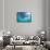 Sunbeam Undersea-null-Framed Stretched Canvas displayed on a wall