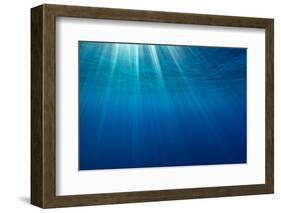 Sunbeams below the surface of the sea, Guadalupe Island-Alex Mustard-Framed Photographic Print